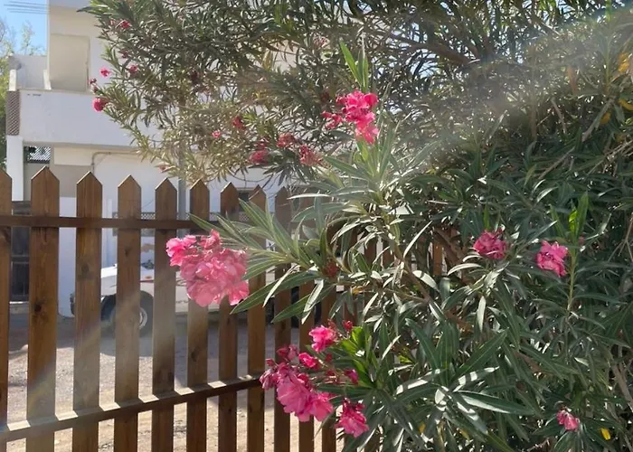 بيت ضيافة Wanasa House